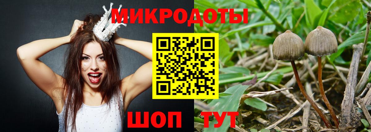 Красноуфимск  Псилоцибиновые грибы мицелий  Вход с VPN 